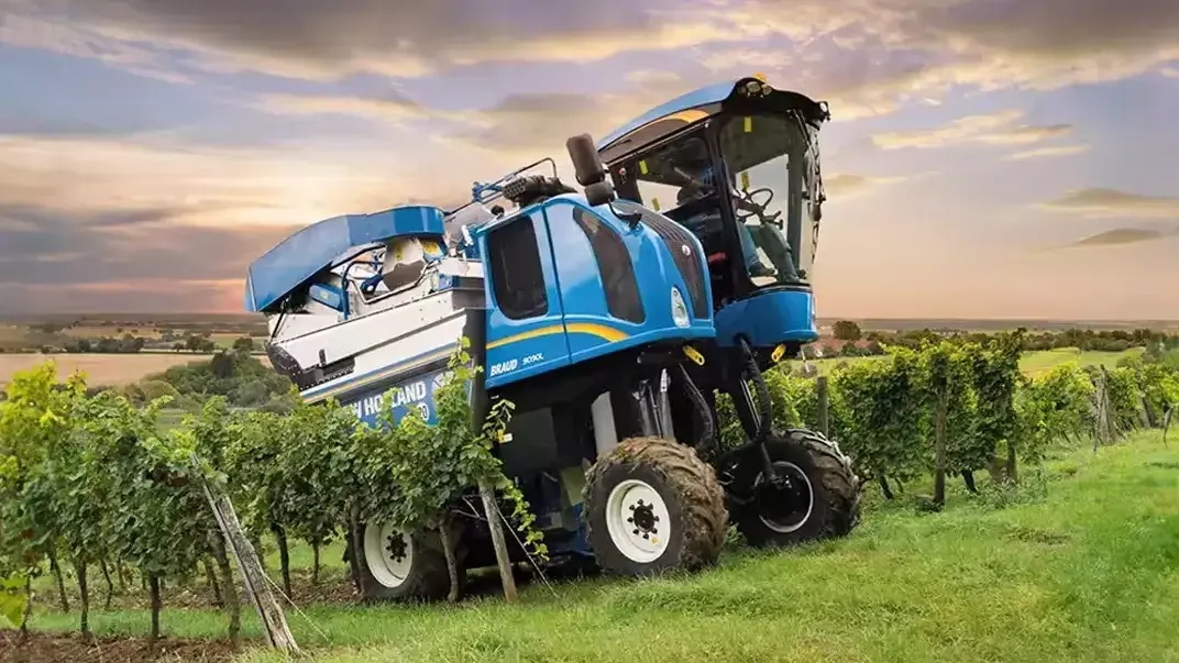 imgi_21_ee78f6462a864d01badd4f9e8c485c74