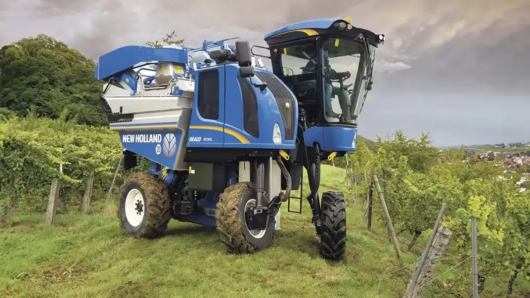 imgi_25_eafba60371a9468bb7725ff4f9abc90d