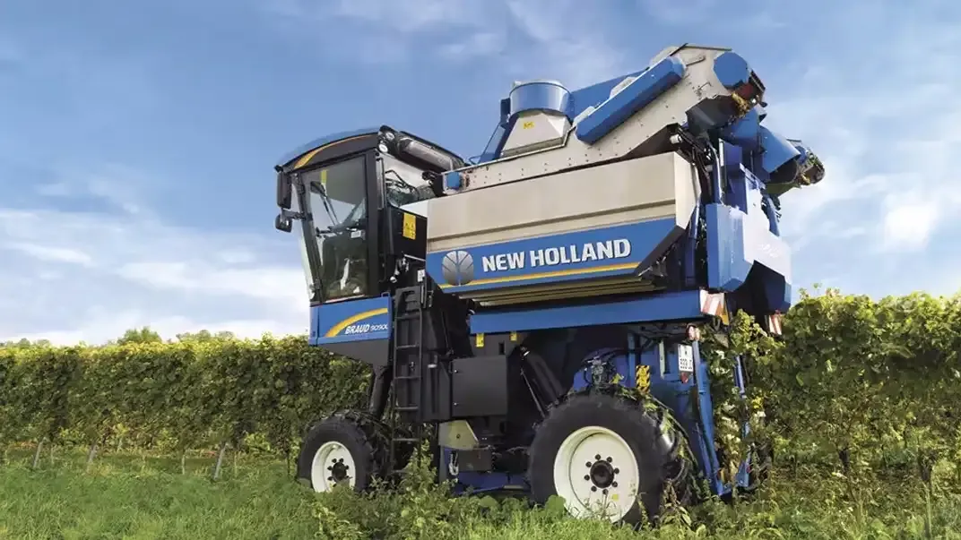 imgi_28_d0514eb4a10c4e5c8cbf384a71d84621