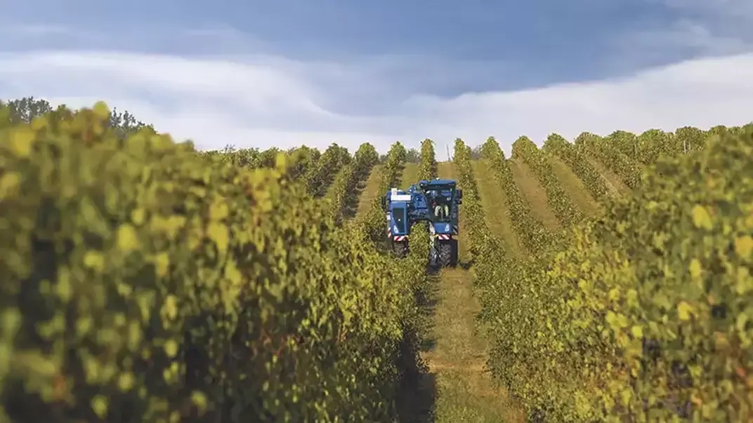 imgi_30_4bd4417f2c84414cb0436a85a0f307ea