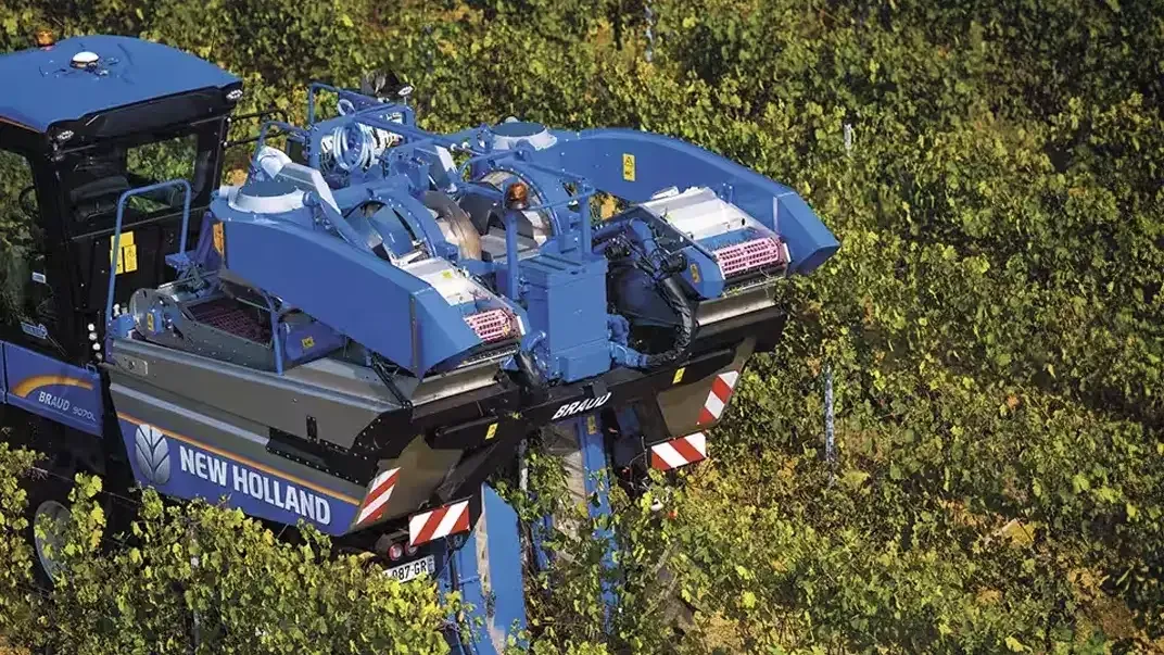 imgi_33_3ed554c3e140455fae77f980dac18ebd