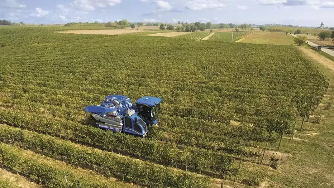 imgi_36_13ef684ee7bf4545badc43db0142a107