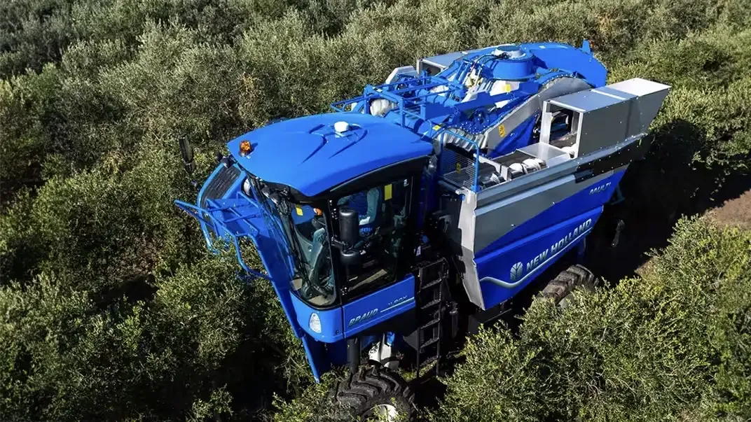 imgi_7_55d41f090c544cfe9363b92ee9e14f90