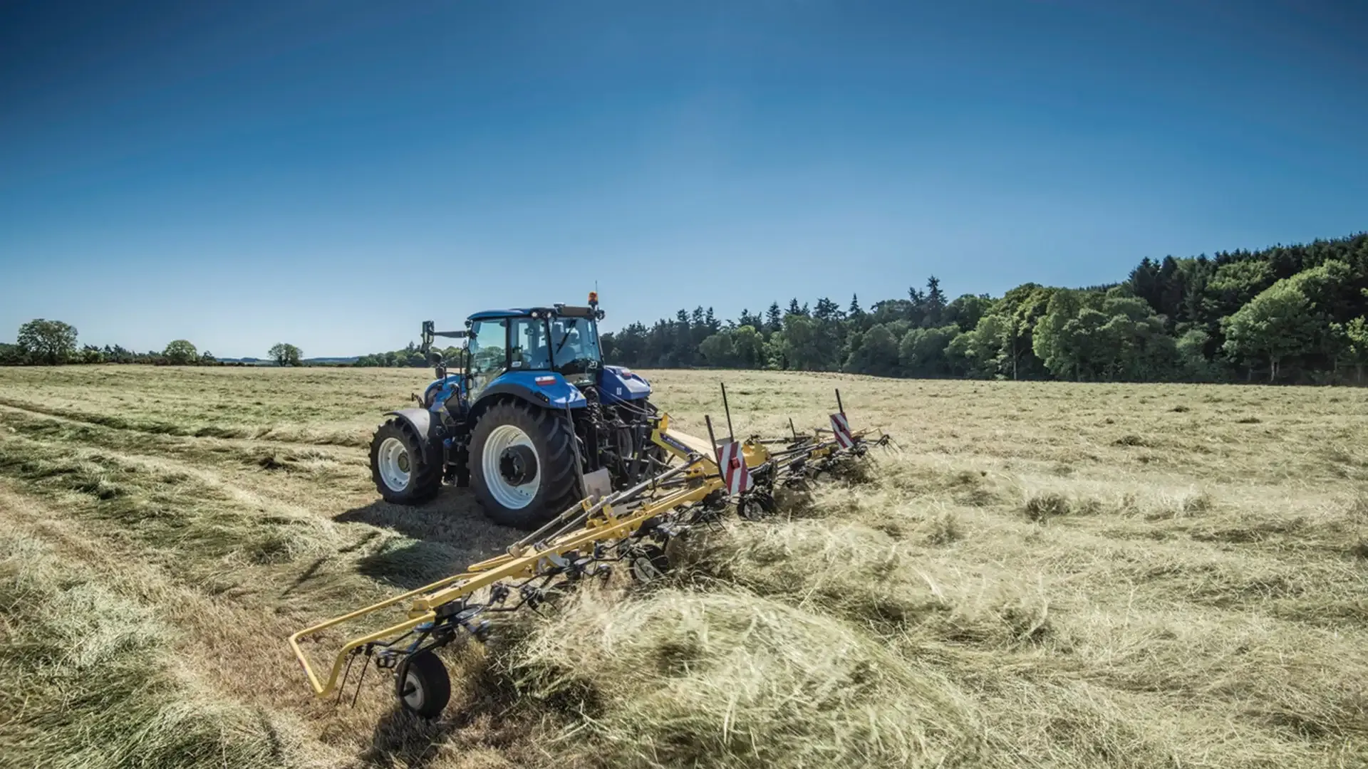 imgi_7_8908a3c15ebf4e7c90994885160cdf5f