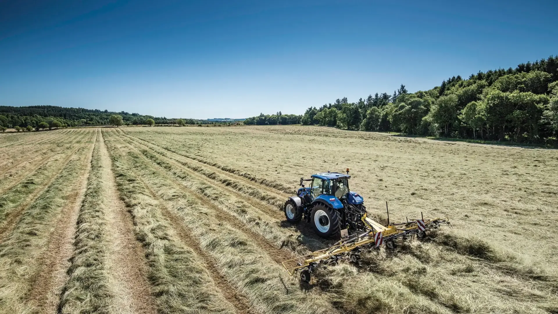 imgi_8_7b8b42951374419382d18c175adf6807