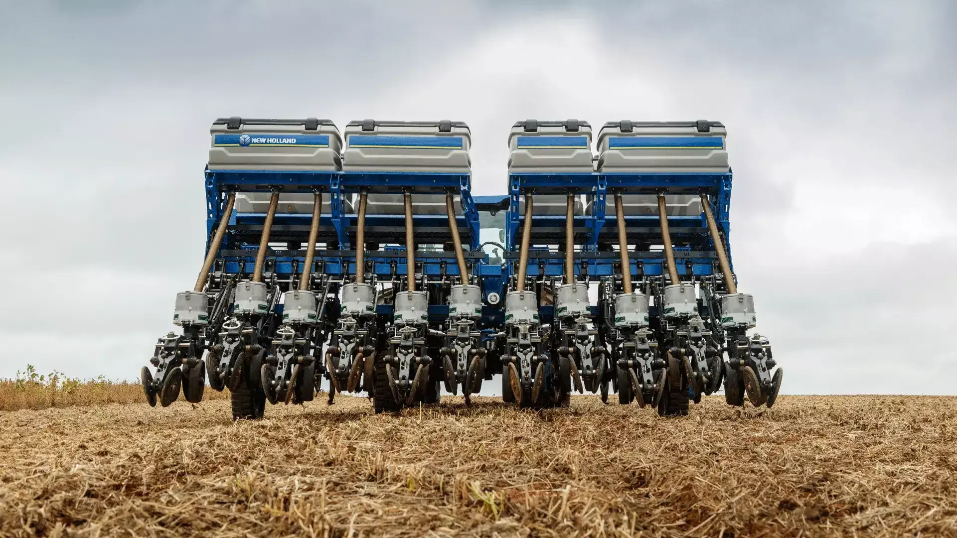 imgi_8_f3028d82fe1c4418b24e5164b2dd585f