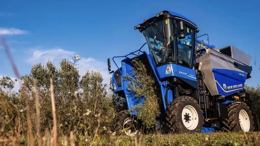 imgi_8_fe8a3aa96fcb4537bab52b2a505dcd8f